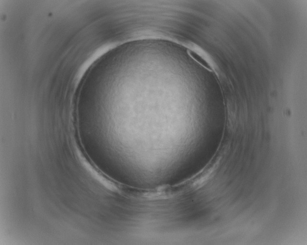 X0000076221142200610122043