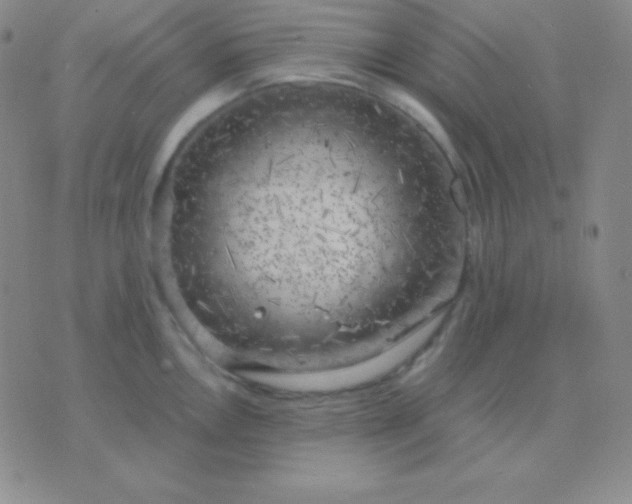 X0000076221146200610122043