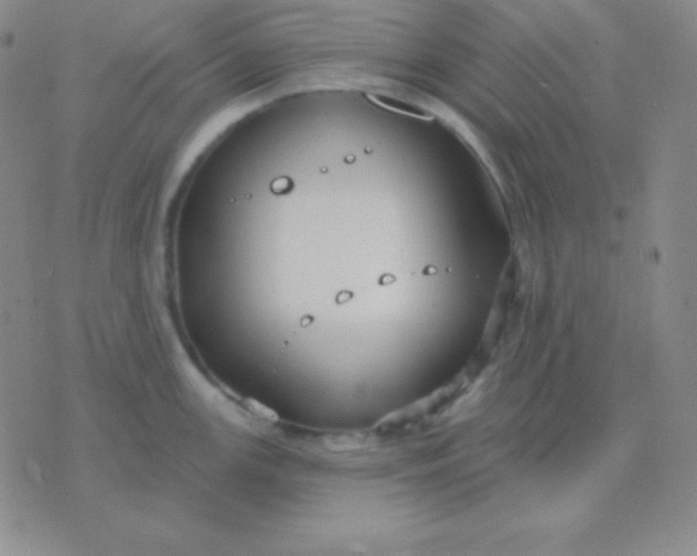 X0000076221147200610122043