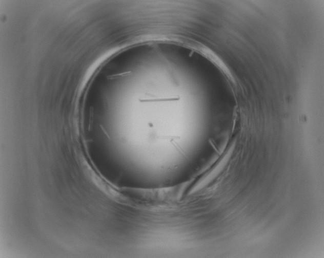 X0000076221148200610122043