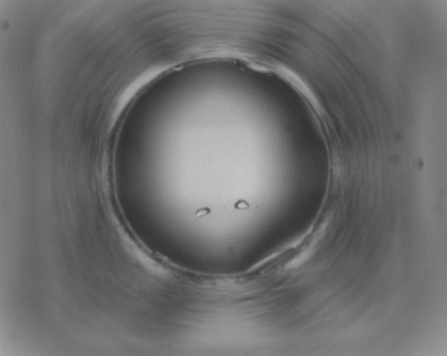 X0000076221149200610122043