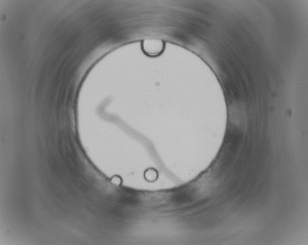 X0000076221150200610122043