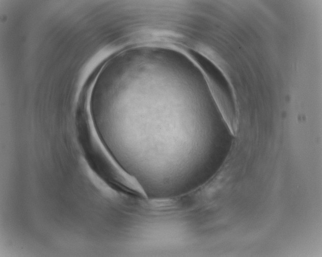 X0000076221152200610122043