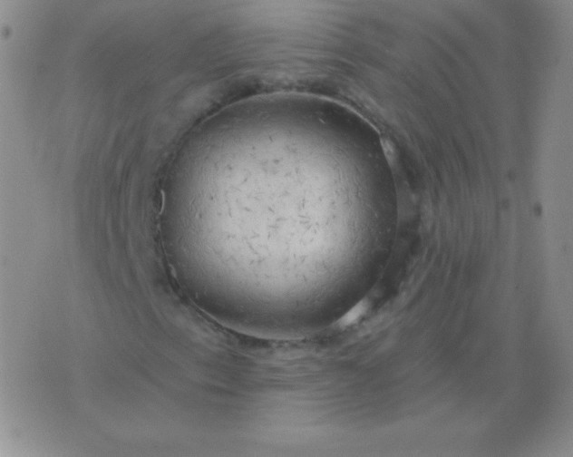 X0000076221153200610122043