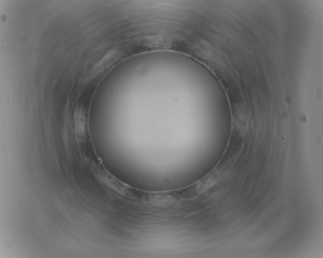 X0000076221154200610122043