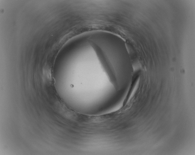 X0000076221155200610122043