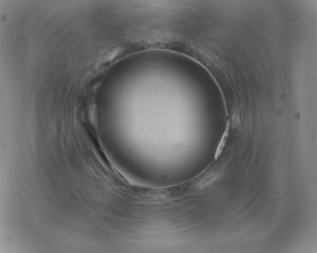 X0000076221156200610122043