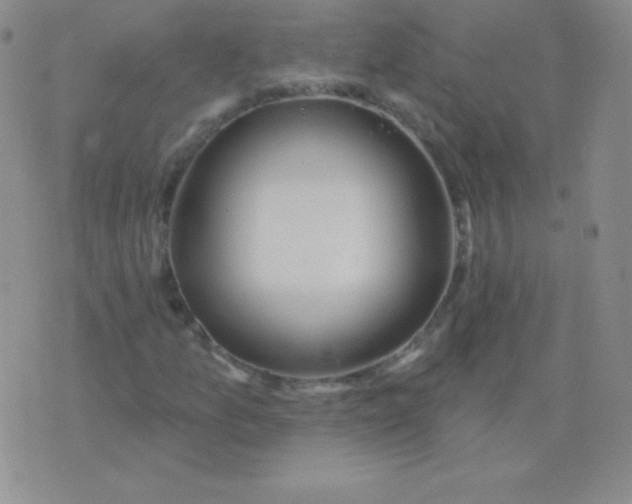 X0000076221157200610122043