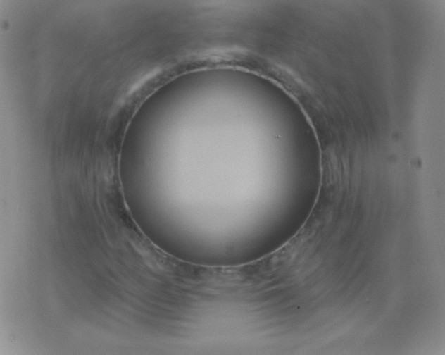 X0000076221158200610122043