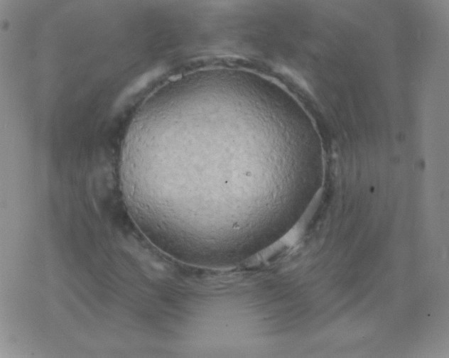 X0000076221159200610122043