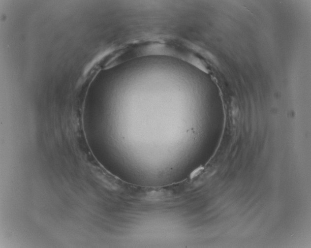 X0000076221160200610122043