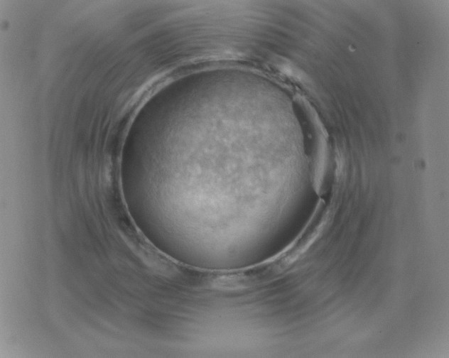 X0000076221161200610122043