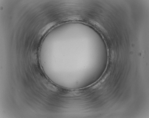 X0000076221162200610122043