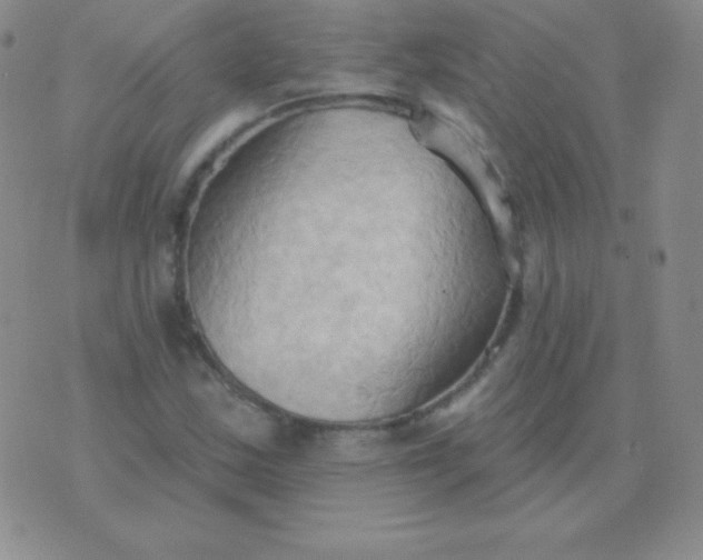 X0000076221163200610122043