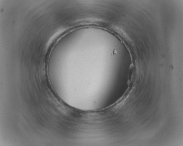 X0000076221164200610122042