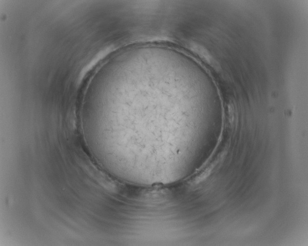 X0000076221165200610122042