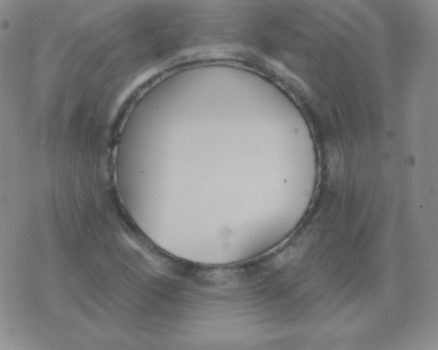 X0000076221166200610122042