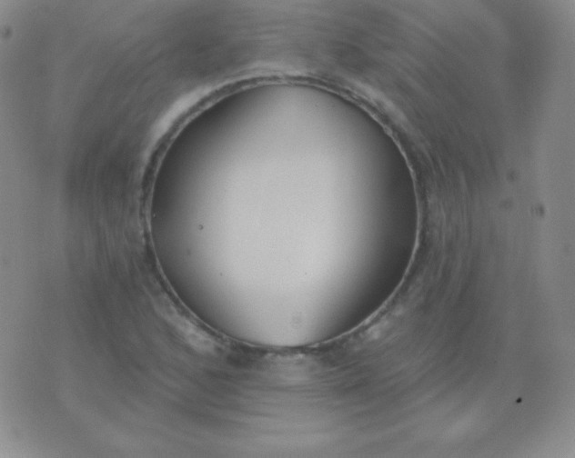 X0000076221168200610122042