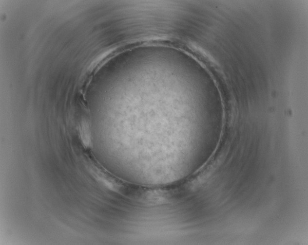 X0000076221169200610122042