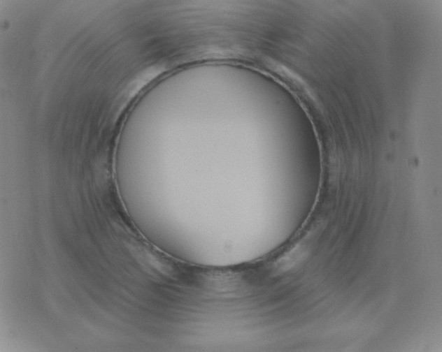 X0000076221170200610122042