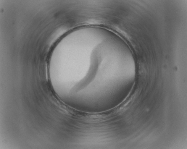 X0000076221171200610122042