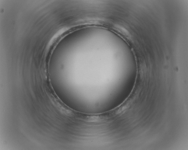 X0000076221172200610122042