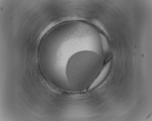 X0000076221173200610122042