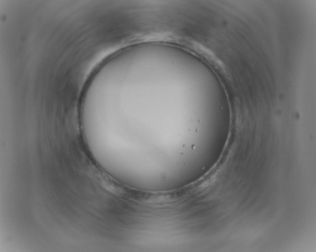 X0000076221174200610122042