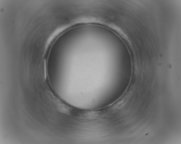 X0000076221175200610122042