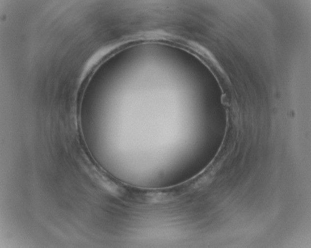 X0000076221176200610122042