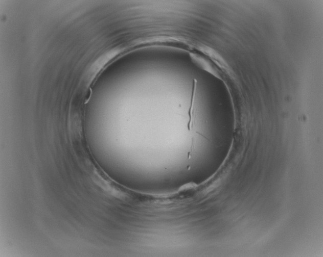 X0000076221177200610122042