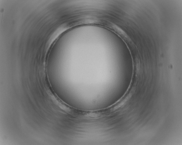 X0000076221178200610122042