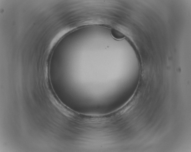 X0000076221179200610122042