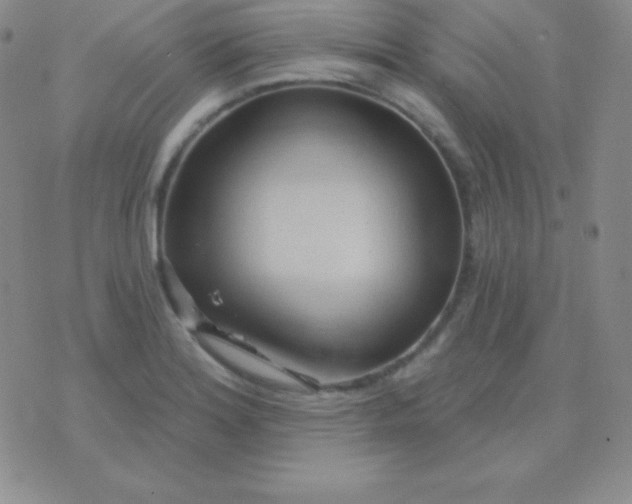 X0000076221180200610122042