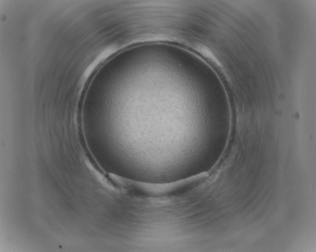 X0000076221181200610122042