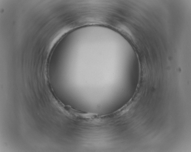 X0000076221182200610122042