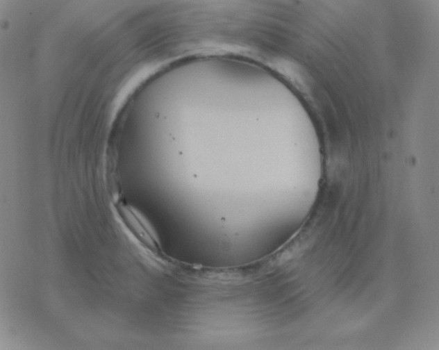 X0000076221183200610122042