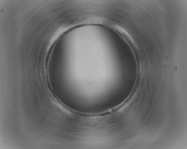 X0000076221184200610122042