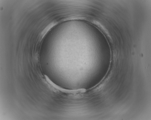 X0000076221185200610122042