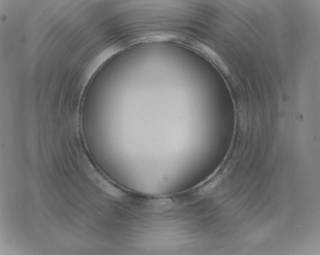 X0000076221186200610122042