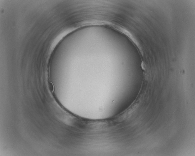 X0000076221187200610122042