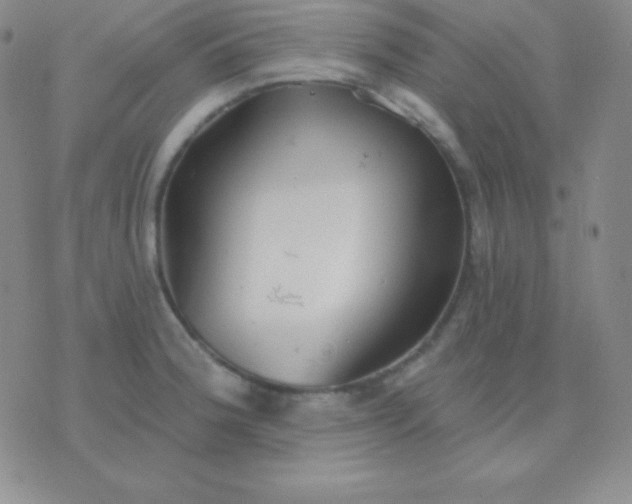 X0000076221188200610122042