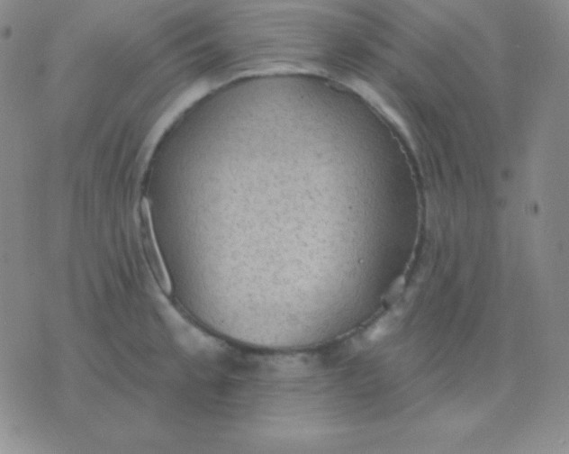 X0000076221189200610122042