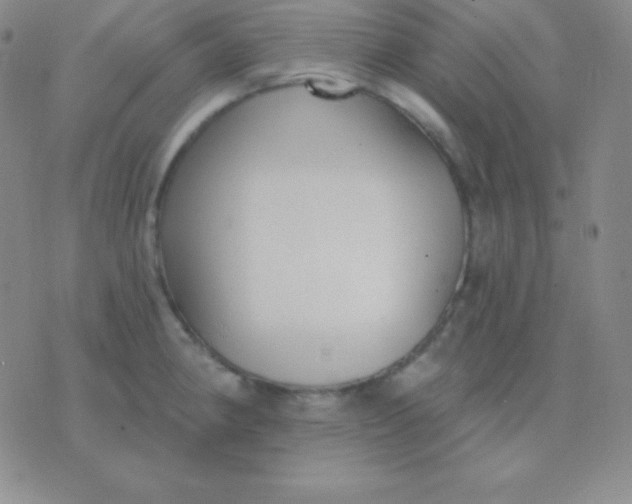 X0000076221190200610122042