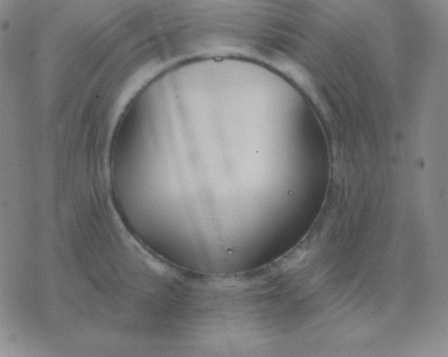 X0000076221191200610122042