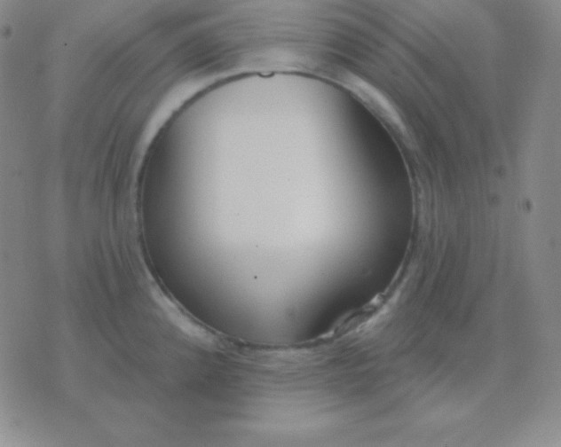 X0000076221192200610122042