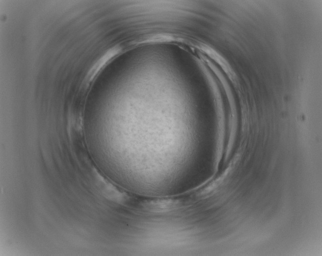 X0000076221193200610122042