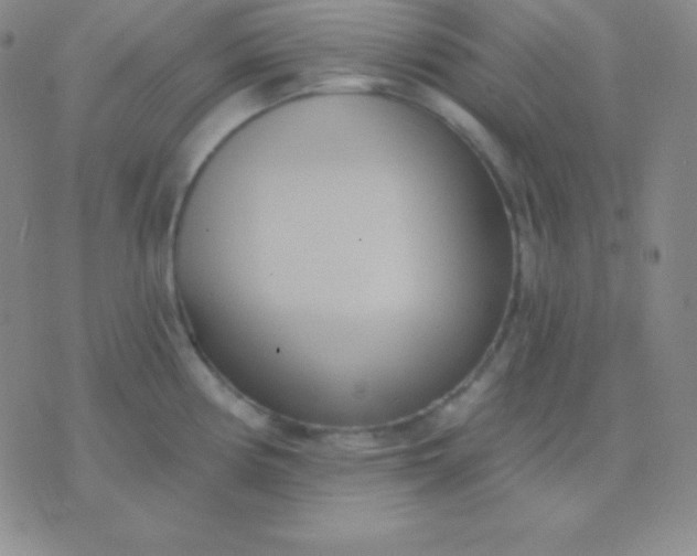 X0000076221194200610122042