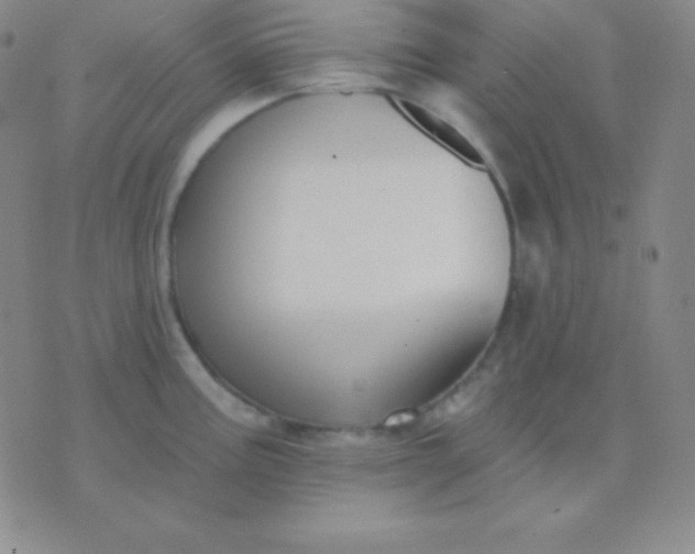 X0000076221195200610122042