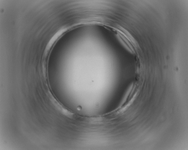 X0000076221196200610122042